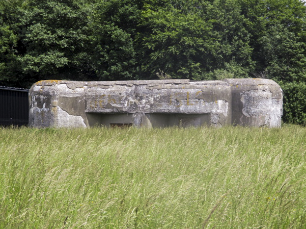 Ligne Maginot - LA CRASCOTTE OUEST - (Blockhaus lourd type STG / STG-FCR - Double) - Photo prise de la D 932 - Route de Maubeuge.