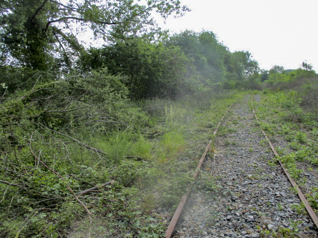 Ligne Maginot - GARE DE BAVAY - (Blockhaus lourd type STG / STG-FCR - Simple) - Photo prise de la voie ferrée désaffectée Hautmont Bettrechies
