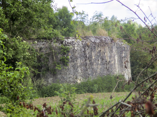 Ligne Maginot - GARE DE BAVAY - (Blockhaus lourd type STG / STG-FCR - Simple) - Photo prise de la voie ferrée désaffectée Hautmont Bettrechies