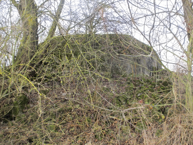 Ligne Maginot - B490 - CURGIES SUD-EST - (Blockhaus pour canon) - 