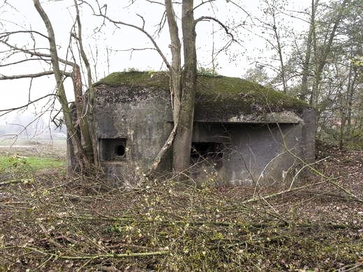 Ligne Maginot - B519 - GENIETTE - (Blockhaus pour canon) -  - AALMA - www.lignemaginot.com