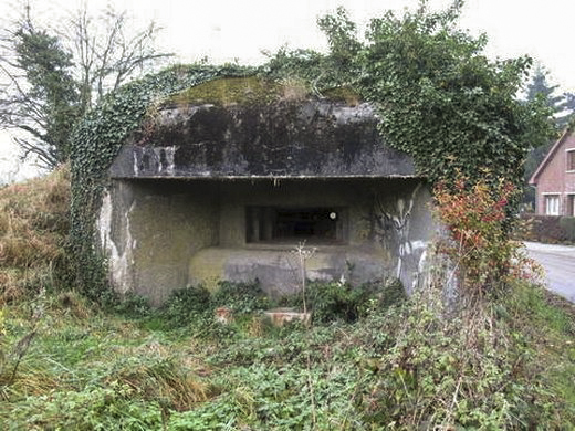 Ligne Maginot - B529 - BOIS DE LA FERRIERE SUD - (Blockhaus pour canon) -  - AALMA - www.lignemaginot.com
