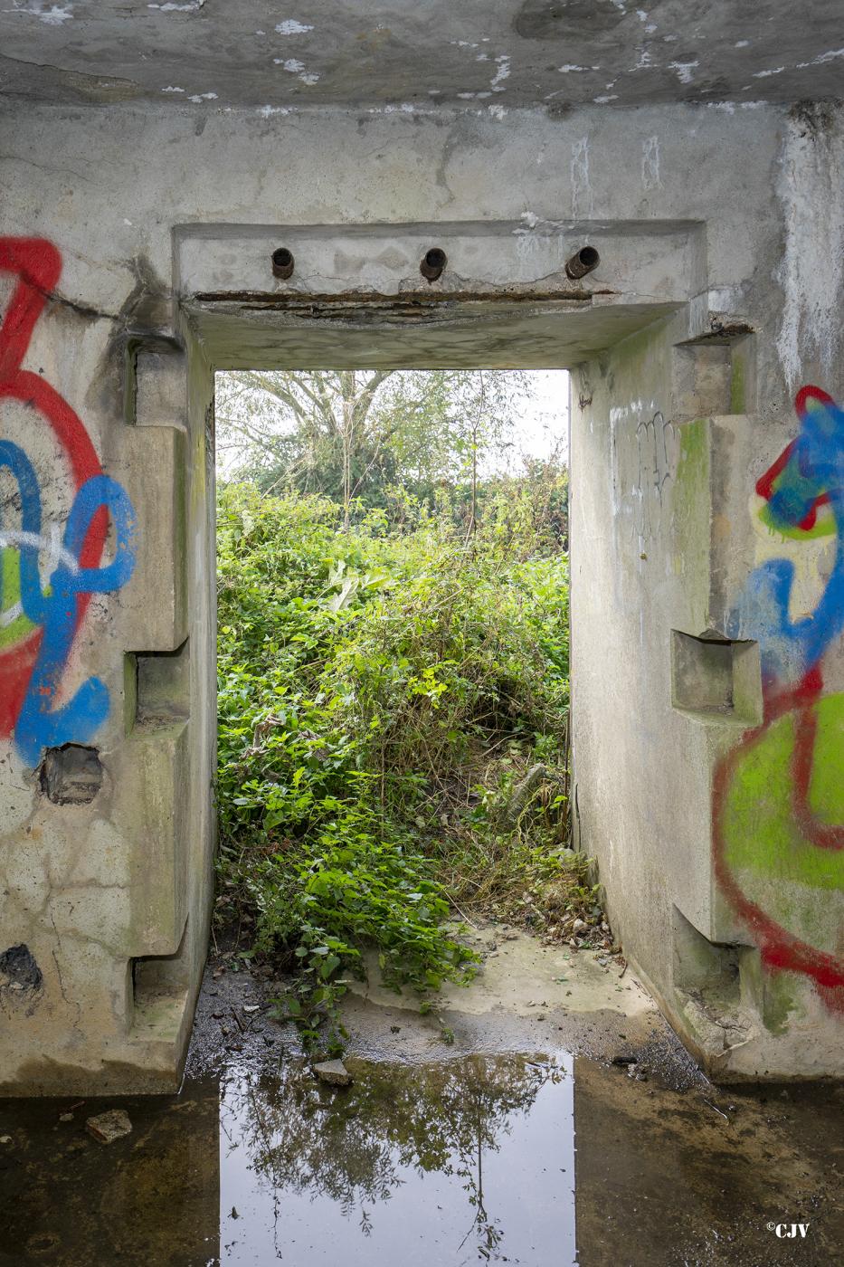 Ligne Maginot - B491 - NOTRE DAME - (Blockhaus pour canon) -  - Lia VERMEULEN