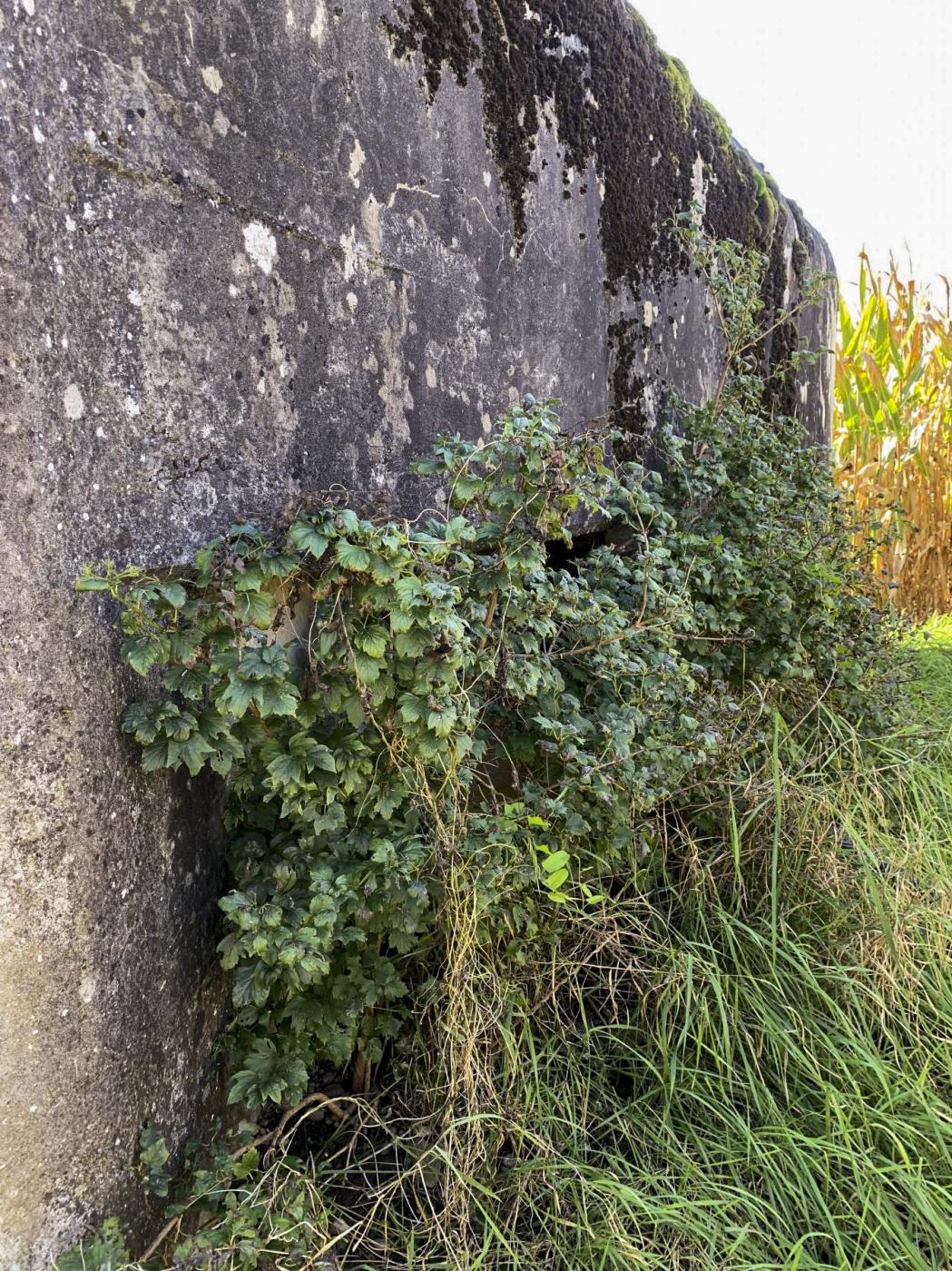 Ligne Maginot - SCHWEINECK 1 - (Blockhaus pour arme infanterie) - 