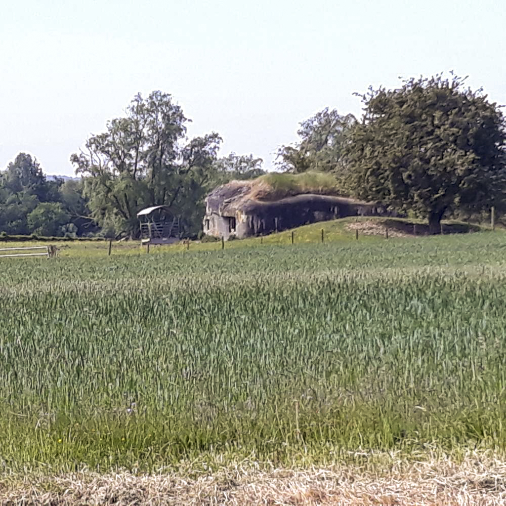 Ligne Maginot - B560 - QUESNE-LUQUET - (Blockhaus pour canon) - 
