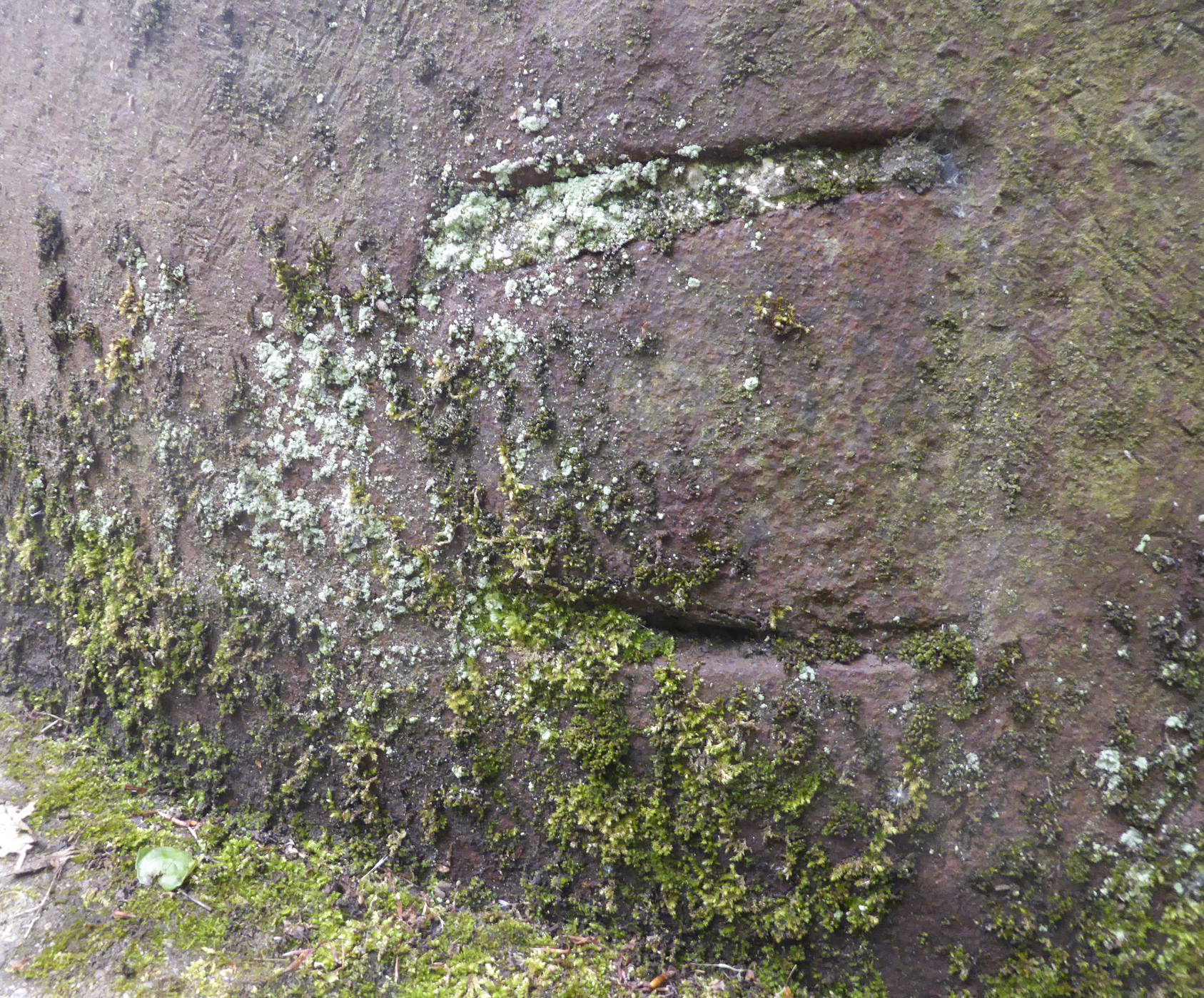 Ligne Maginot - NOTRE DAME D'AMOUR - C1 - (Casemate d'infanterie - double) - La cloche JM modifiée pour AM : obturation soudée, vue de l'extérieur.