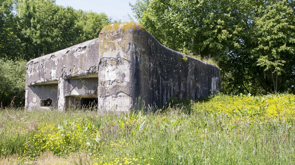 Ligne Maginot - PLANTIS - (Blockhaus lourd type STG / STG-FCR - Simple) - 