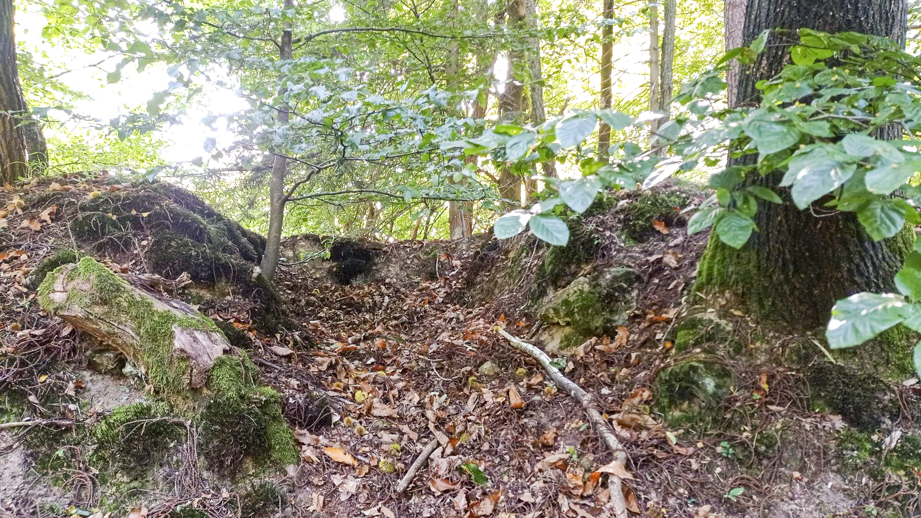 Ligne Maginot - HOCHWALD HAUT ARRIéRE - (Observatoire d'artillerie) - Observatoire sans sa guérite
Reste du rocaillage