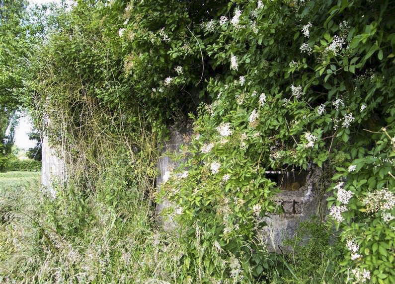 Ligne Maginot - A85 - PONT-ALLANT SUD - (Blockhaus lourd type STG / STG-FCR - Double) - 