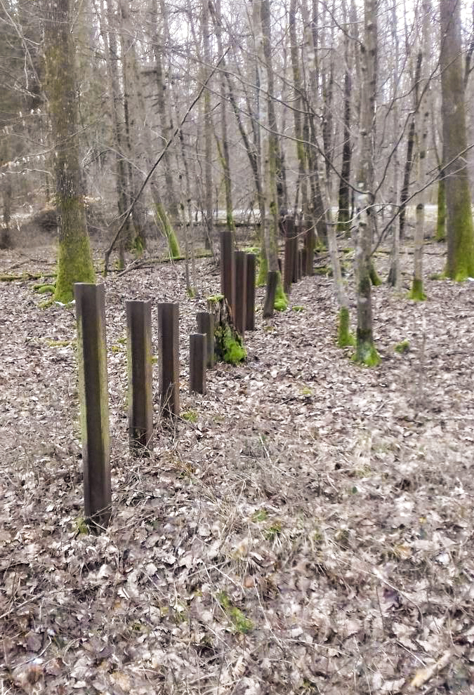 Ligne Maginot - NEUBACH (réseau de rails) (Obstacle antichar) - Réseau de rails antichar