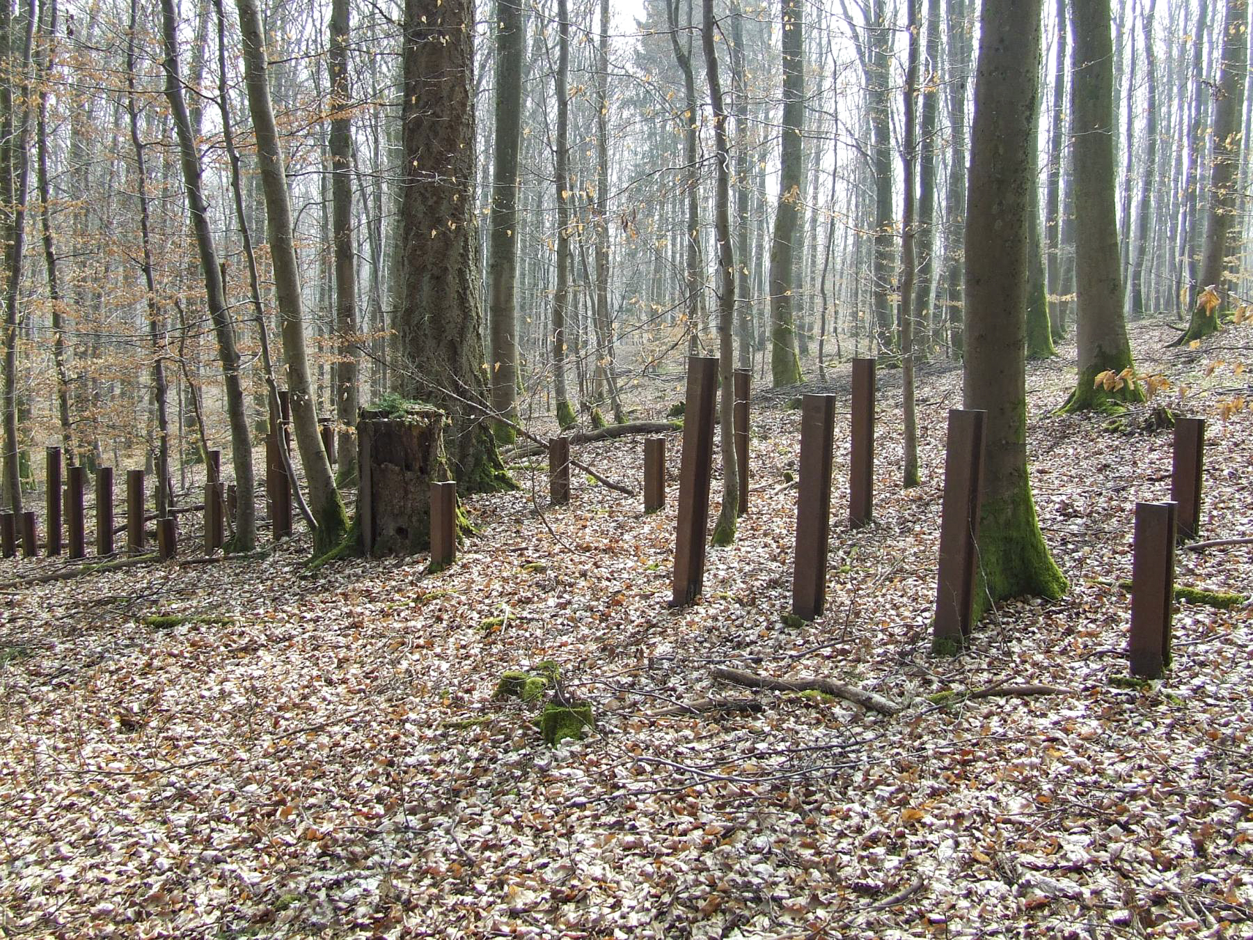 Ligne Maginot - NEUBACH  (RéSEAU DE RAILS) - (Obstacle antichar) - 