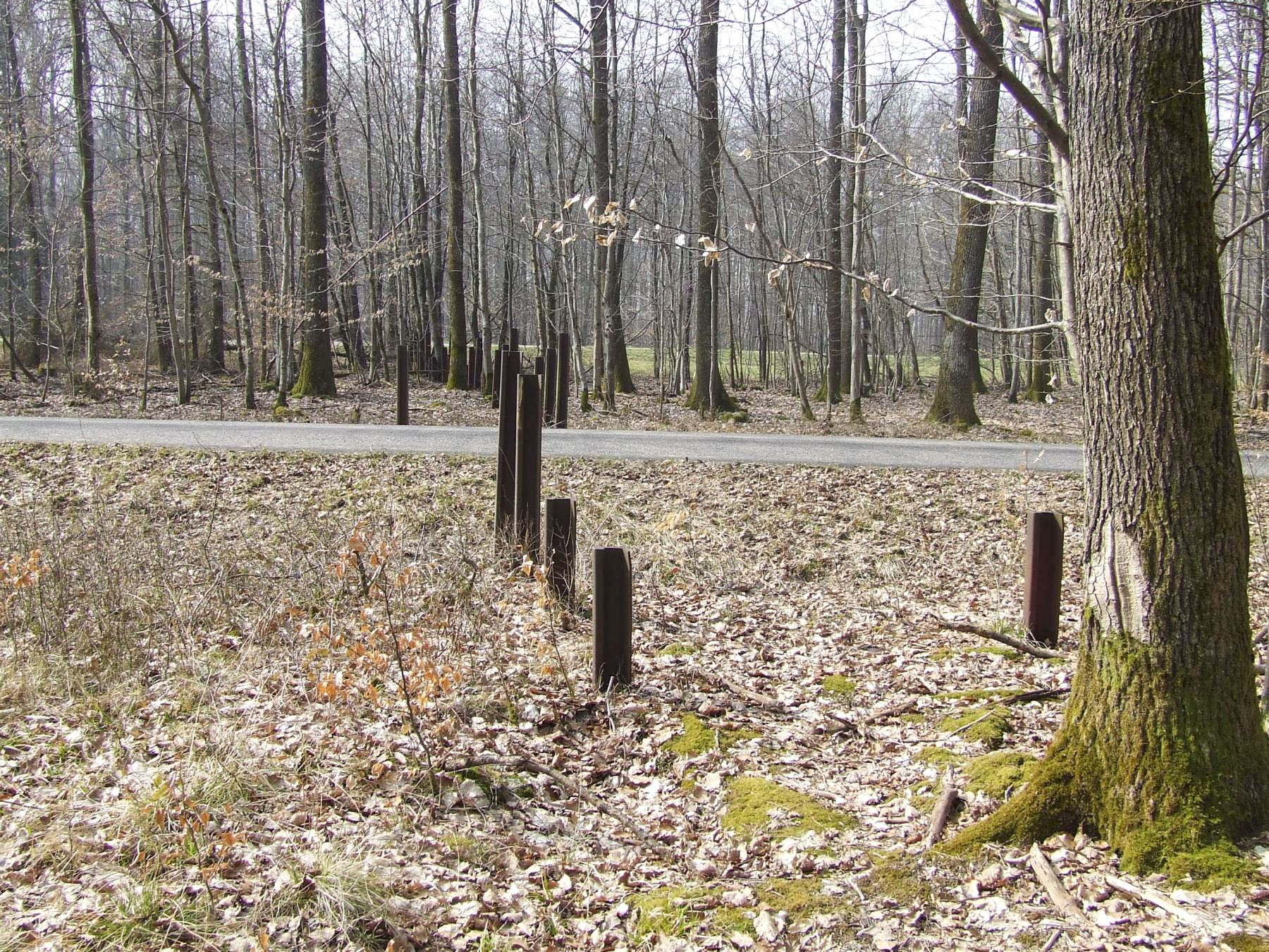 Ligne Maginot - NEUBACH  (RéSEAU DE RAILS) - (Obstacle antichar) - 