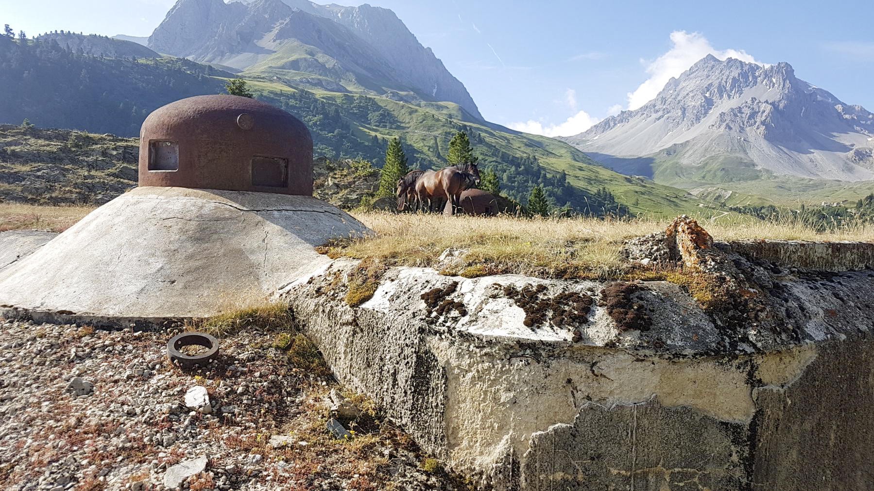 Ligne Maginot - LAVOIR - (Ouvrage d'artillerie) - Bloc 5
Cloche GFM nord