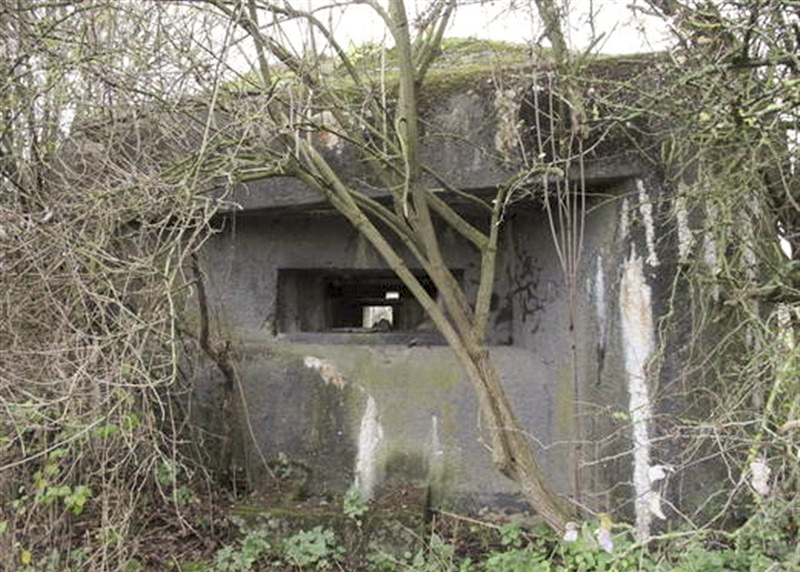 Ligne Maginot - B533 - RUISSEAU DU BULTIAU SUD - (Blockhaus pour canon) - 
