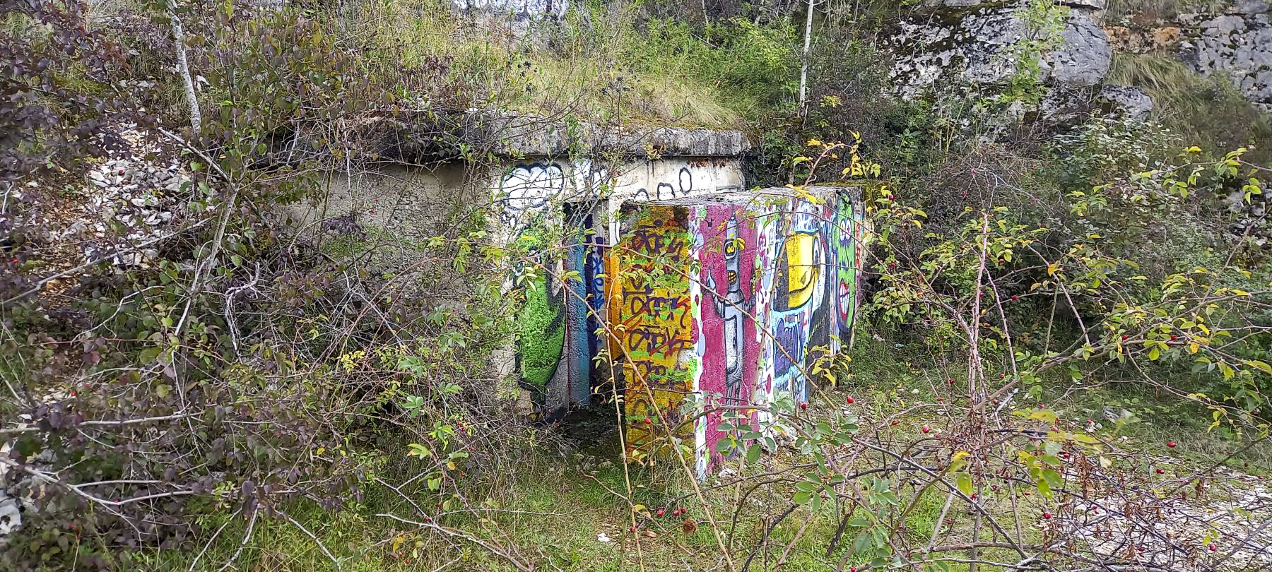 Ligne Maginot - MONT MOUREX (9° RAD) - (PC) - Le PC caché au fond de la carrière.