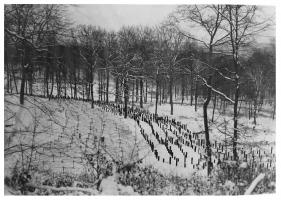 Ligne Maginot - HACKENBERG - A19 - (Ouvrage d'artillerie) - Extérieurs
Réseaux bas  (barbelés) et antichars (rails)