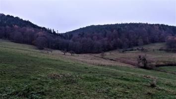 Ligne Maginot - SEEMATT SUD-OUEST - (Blockhaus pour arme infanterie) - Le créneau balayant le vallon du Seematt et son versant Sud