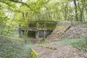 Ligne Maginot - TETING - A38 - (Ouvrage d'infanterie) - Bloc 1