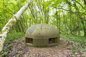 Ligne Maginot - TETING - A38 - (Ouvrage d'infanterie) - Bloc 1
