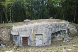 Ligne Maginot - TETING - A38 - (Ouvrage d'infanterie) - Bloc 1
Après nettoyage par l'association ASPOLT