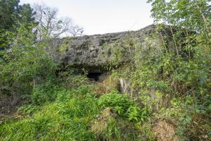 Ligne Maginot - A68 - OEILLET - (Blockhaus lourd type STG / STG-FCR - Double) - Les créneaux sud-est