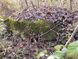 Ligne Maginot - ECLUSE D'HIRTZFELDEN NORD - (Blockhaus pour arme infanterie) - La coupole noyée dans la végétation.