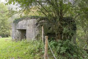Ligne Maginot - B522 - L'AUNELLE NORD - (Blockhaus pour canon) - Entrée et créneaux sud-est