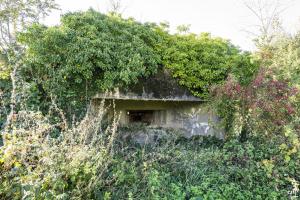 Ligne Maginot - B529 - BOIS DE LA FERRIERE SUD - (Blockhaus pour canon) - 