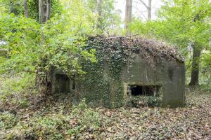 Ligne Maginot - B530 - QUELIPONT EST - (Blockhaus pour canon) - 