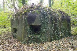 Ligne Maginot - B530 - QUELIPONT EST - (Blockhaus pour canon) - Créneau de flanquement