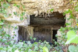 Ligne Maginot - CEZF-6 - FERME DES TILLEULS - (Casemate d'infanterie - double) - Un des créneaux