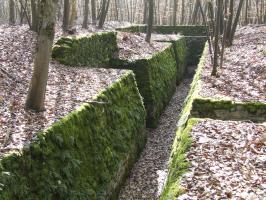 Ligne Maginot - BOIS DE PONTPIERRE (II/146° RIF) - (PC de Quartier) - Les tranchées en chicane du PC.