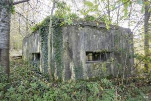 Ligne Maginot - B543 - SAINT WAAST - (Blockhaus pour arme infanterie) - Les deux créneaux qui couvrent la vallée