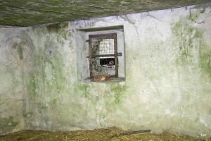 Ligne Maginot - B543 - SAINT WAAST - (Blockhaus pour arme infanterie) - Petit créneaux direction chemin de fer