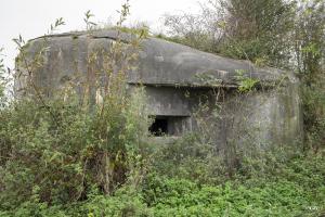 Ligne Maginot - B550 - LA BOETE - (Blockhaus pour canon) - Côté Est