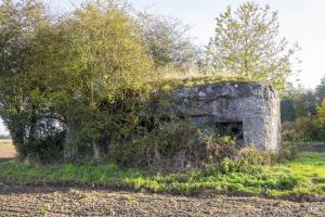 Ligne Maginot - B559 - LA BELLE-HOTESSE - (Blockhaus pour canon) - Les créneaux coté Ouest