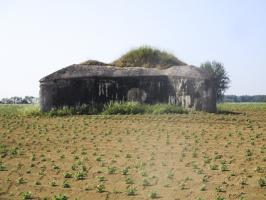 Ligne Maginot - B563 - PETIT CHENE - (Blockhaus pour canon) - 