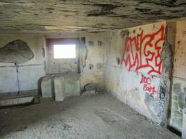Ligne Maginot - B563 - PETIT CHENE - (Blockhaus pour canon) - 