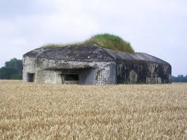 Ligne Maginot - B563 - PETIT CHENE - (Blockhaus pour canon) - 