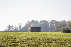 Ligne Maginot - B568 - LA CRASCOTTE EST - (Blockhaus pour arme infanterie) - 
