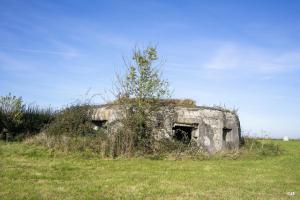 Ligne Maginot - B575 - CHEMIN DE BOIS-MADAME - (Blockhaus pour canon) - 