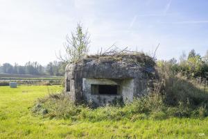 Ligne Maginot - B575 - CHEMIN DE BOIS-MADAME - (Blockhaus pour canon) - 