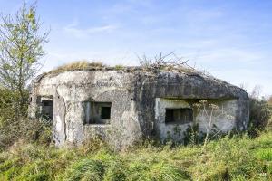 Ligne Maginot - B575 - CHEMIN DE BOIS-MADAME - (Blockhaus pour canon) - 