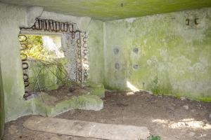 Ligne Maginot - B575 - CHEMIN DE BOIS-MADAME - (Blockhaus pour canon) - 