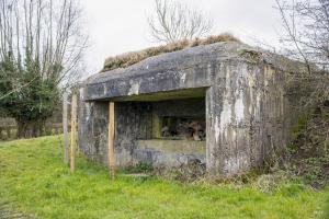 Ligne Maginot - B579 - LA QUEUE DE LANIERE - (Blockhaus pour canon) - 