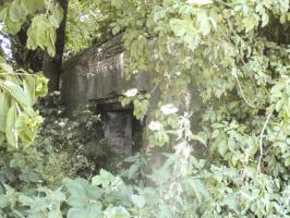 Ligne Maginot - B581 - La MAIN du BOIS (Blockhaus pour canon) - 