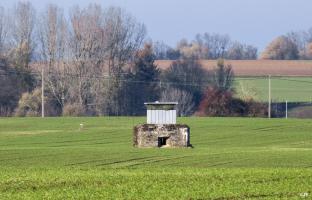 Ligne Maginot - B583 - HAMEAU SUR HON - (Blockhaus pour arme infanterie) - 
