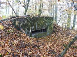 Ligne Maginot - STOCKEN 5 - (Blockhaus pour canon) - La façade de tir du blockhaus.