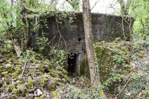 Ligne Maginot - GROSSEN FELD CENTRE - (Blockhaus de type indéterminé) - 