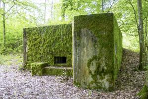 Ligne Maginot - CB310 - ZEITERHOLZ - (Blockhaus pour arme infanterie) - 